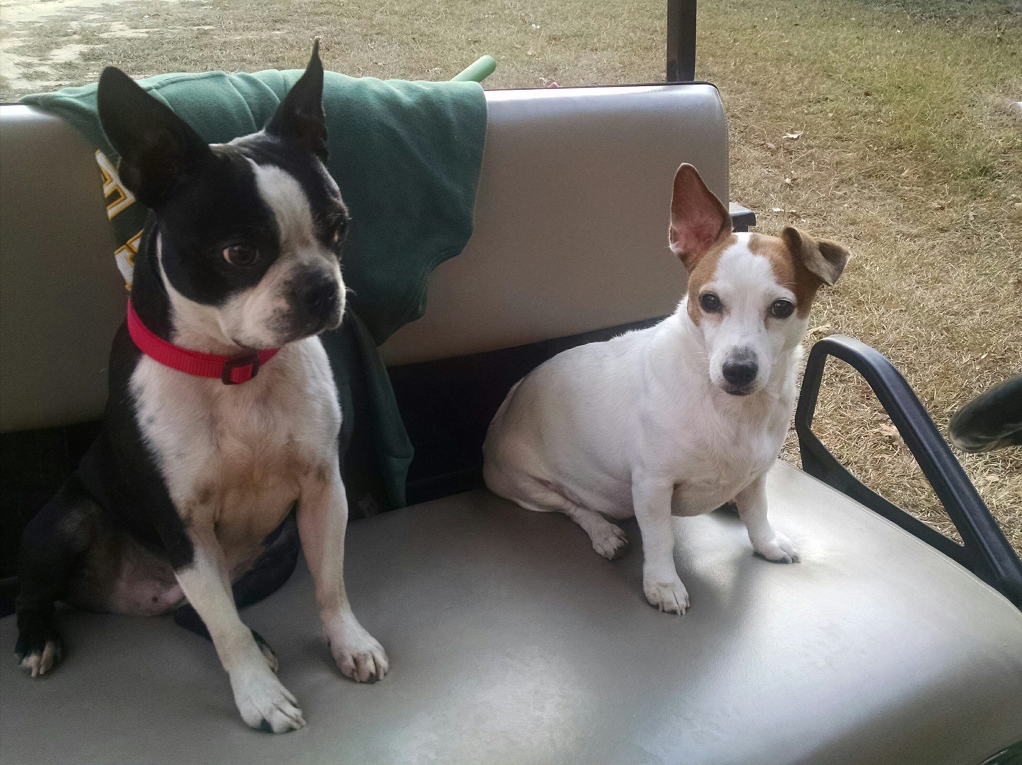 Mascots Ridge The campground mascots – Sunset Ridge Campground
